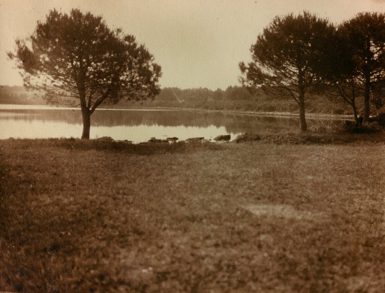 Krajobraz na wyspach Brijuni autorstwa Unknown photographer
