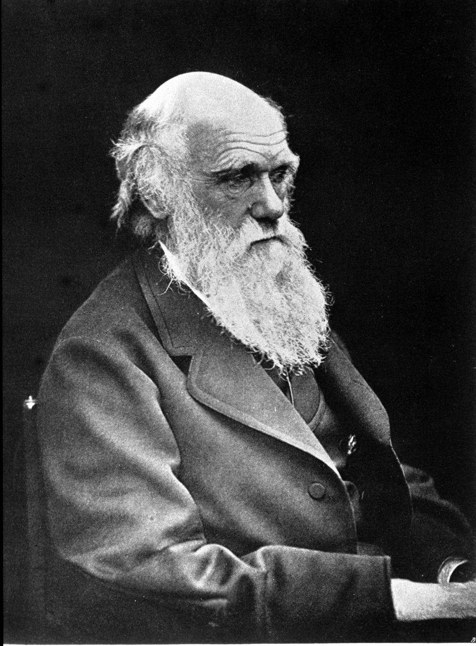 Fotograficzny portret Karola Darwina (1809 - 1882), angielskiego przyrodnika. 1881 autorstwa Unknown photographer