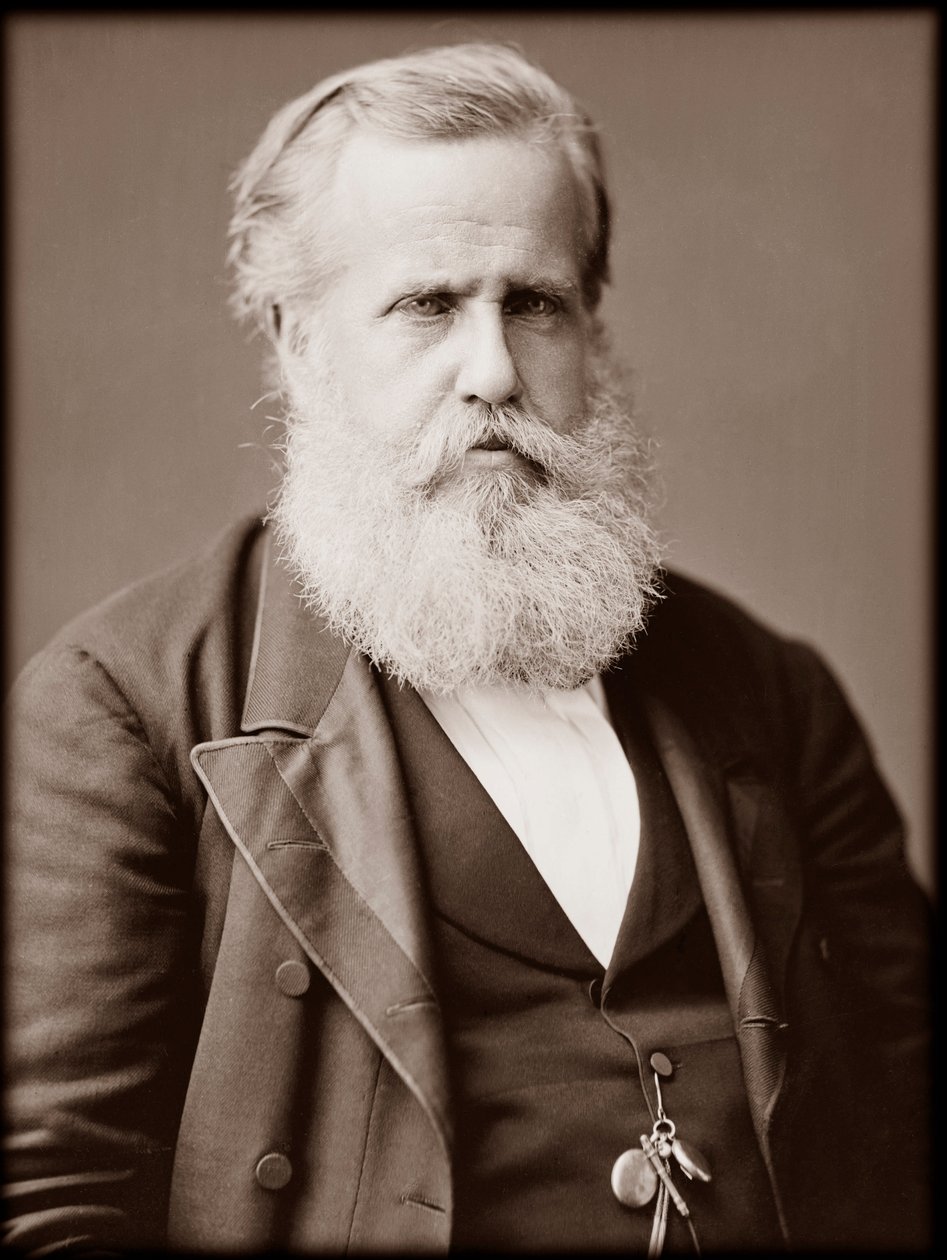 Portret Dom Pedro II (Peter II) (Dom Pedro de Alcantara) (1825-1891), cesarz Brazylii autorstwa Unknown photographer