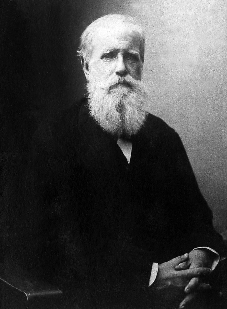 Portret Dom Pedro de Alcantara (Piotr II) (1825-1891), cesarz Brazylii. autorstwa Unknown photographer