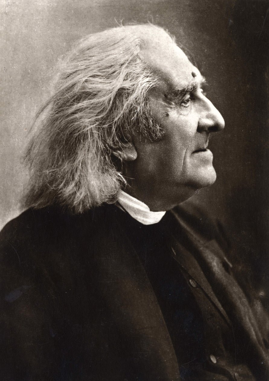 Portret Franciszka Liszta (1811-1886), węgierskiego kompozytora i pianisty. autorstwa Unknown photographer