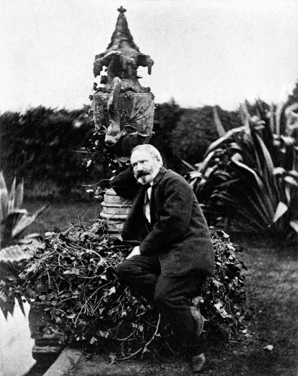 Portret Victora Hugo autorstwa Unknown photographer