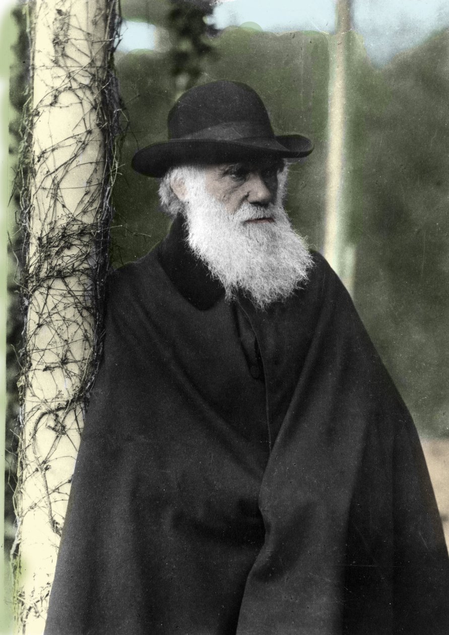 Fotograficzny portret Karola Darwina (1809 - 1882), angielskiego przyrodnika w 1881 roku. autorstwa Unknown photographer