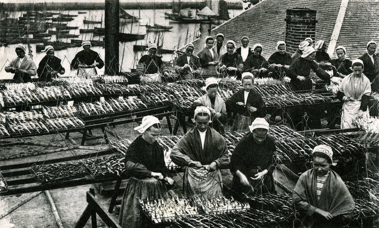 Przemysł sardynkowy, Finistère, Bretania (zdjęcie czarno-białe) autorstwa Unknown photographer