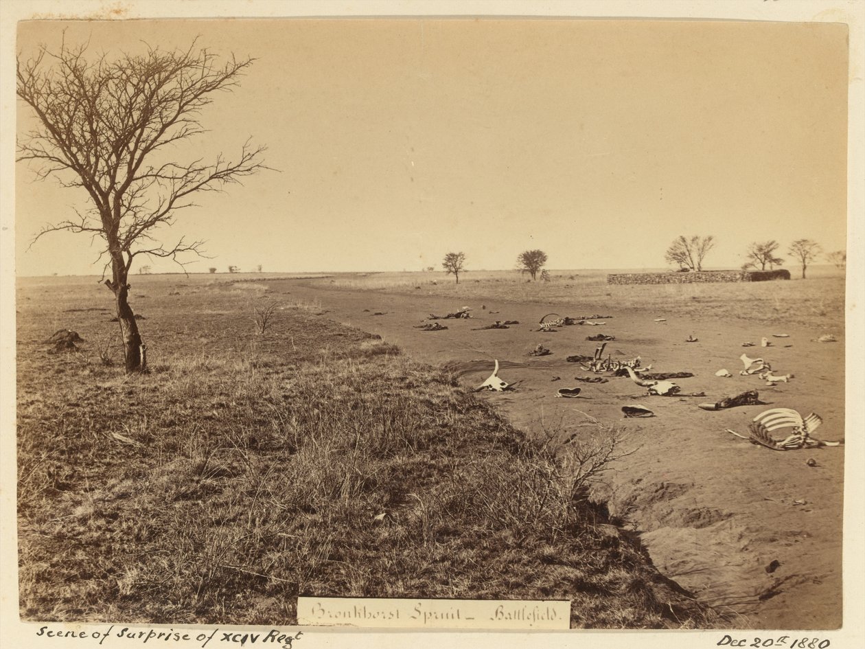 ?Scena zaskoczenia pułku xciv?, 1881 r. autorstwa Unknown