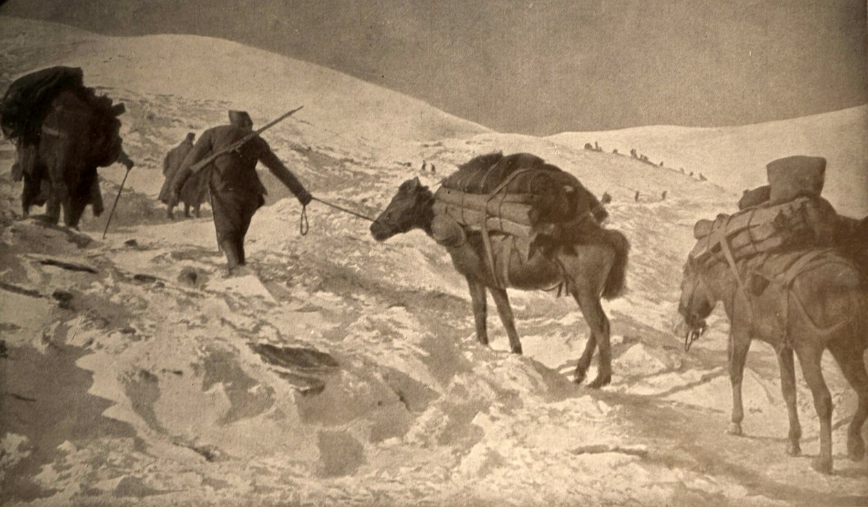 Pozycje francuskie i włoskie mają ponad 2 metry śniegu nad poziomem morza autorstwa Unknown photographer