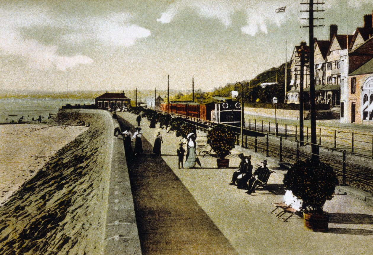 Mur morski, Jersey autorstwa Unknown photographer