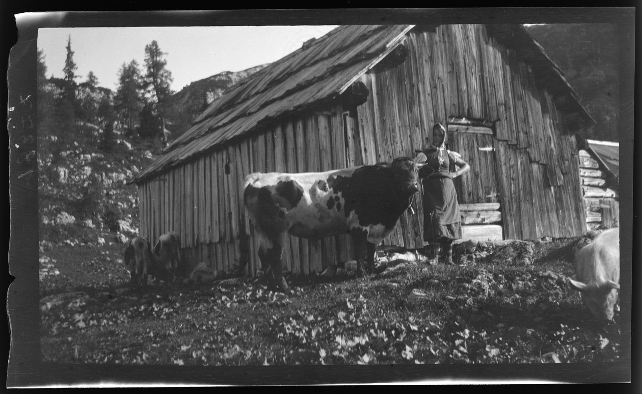 Vorderbachalm (hala górska) z alpejską chatą w pobliżu Goessl nad jeziorem Grundl autorstwa Unknown photographer