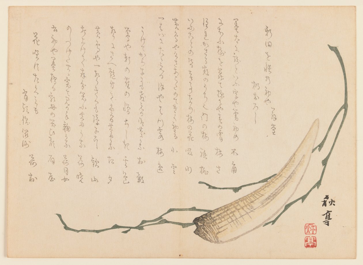 Wodorosty i skorupiaki (drewnodruk) autorstwa Uragami Gyokudo