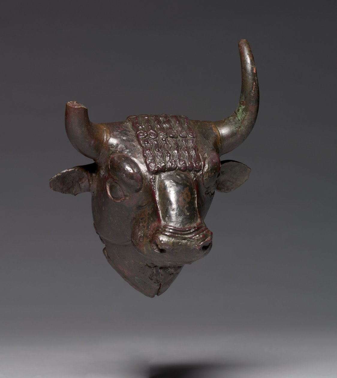 Bull Head Attachment, c.700-600 pne (brąz) autorstwa Urartian