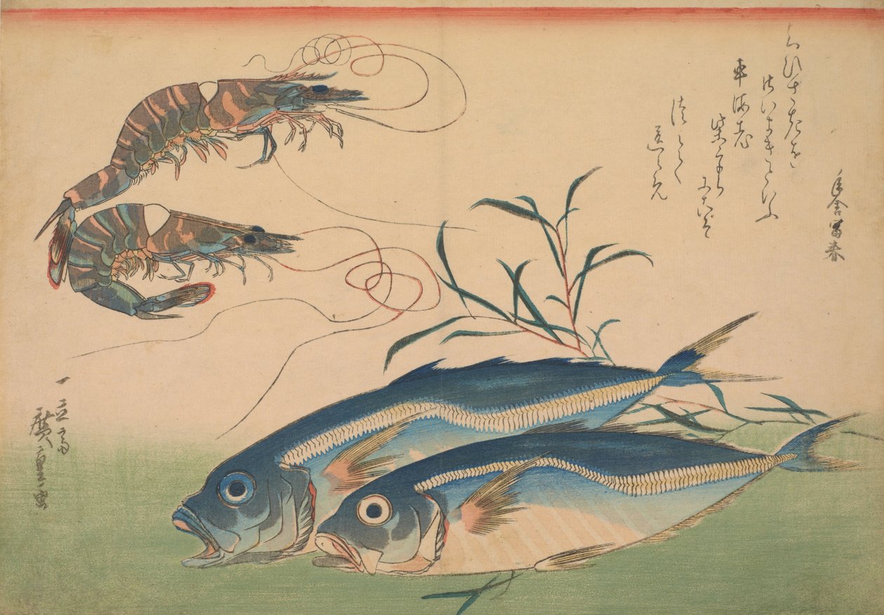 Makrela (Aji) z Krewetką lub Krewetką, z napisem autorstwa Utagawa Hiroshige