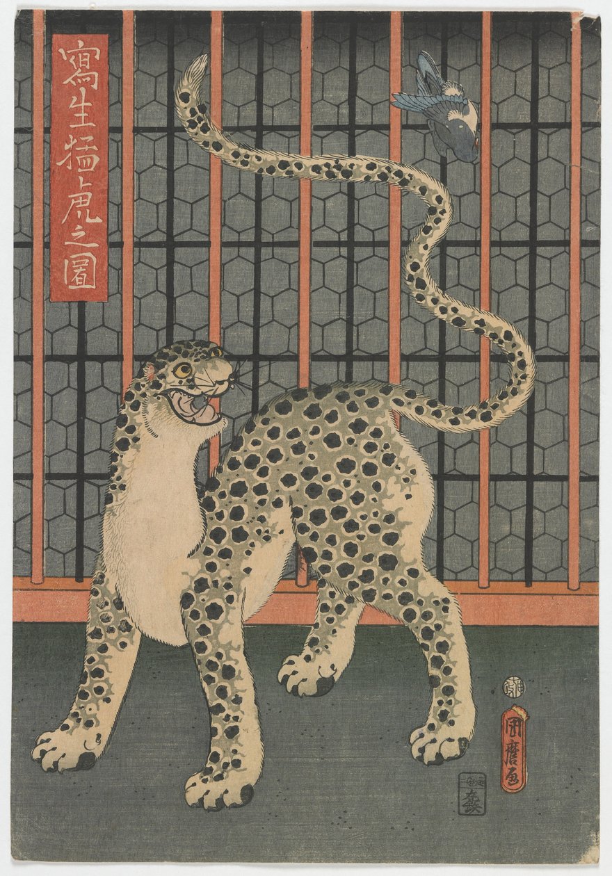 Lampart rysowany z życia, okres Edo, 1860 (kolorowy drzeworyt) autorstwa Utagawa Kunimaro