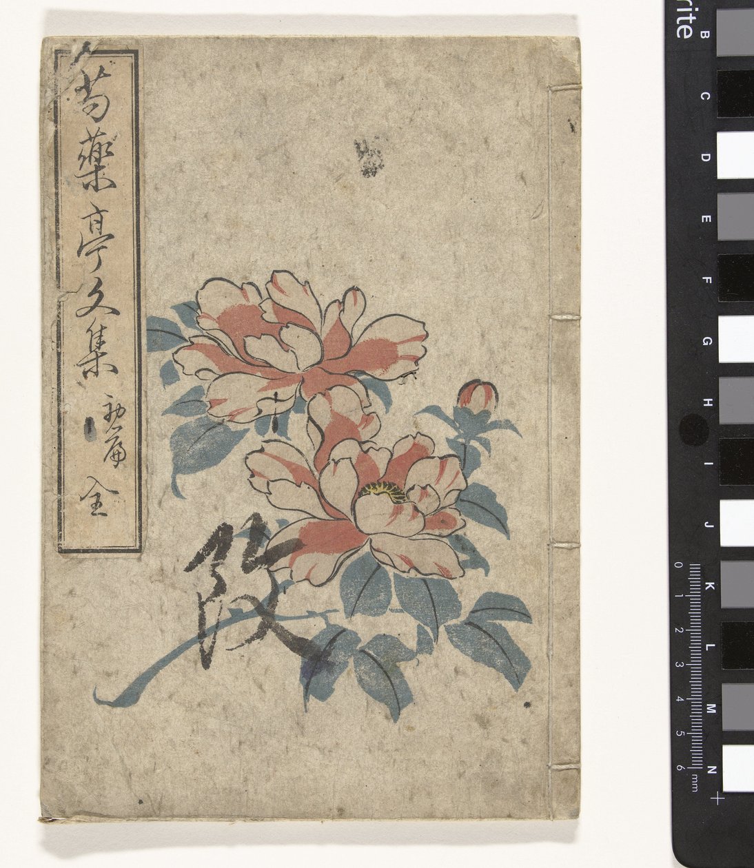 Antologia piwonii Shukuyakutei bunshu (tytuł na obiekcie) autorstwa Utagawa (school of)