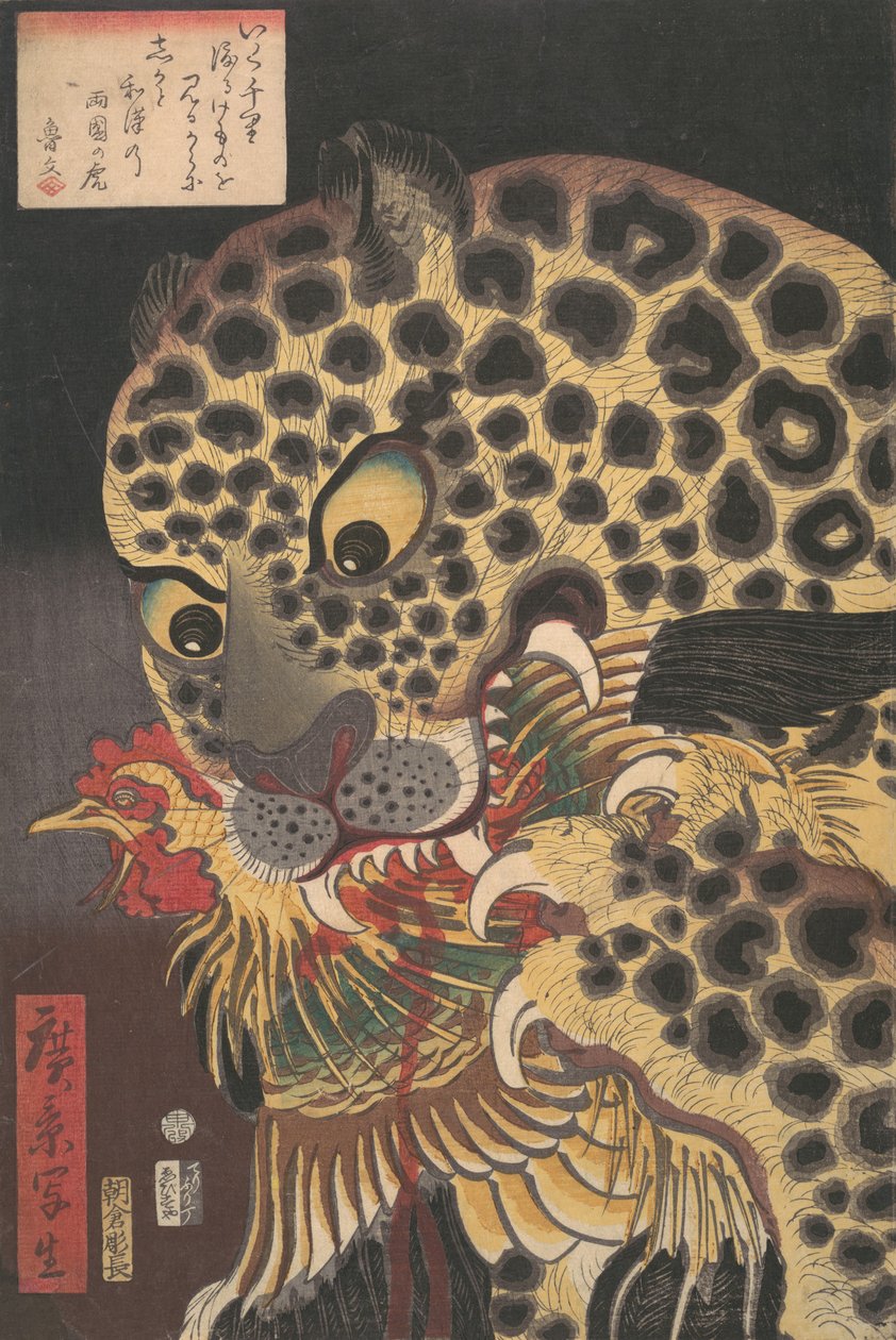 „Tygrys z Ryokoku” z serii „Prawdziwe sceny” Hirokage, 8. miesiąc 1860 r., autorstwa Utagawa Hirokage