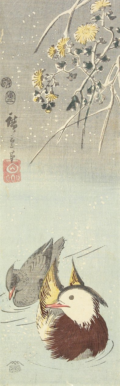 (Chryzantema i kaczki mandarynki), luty 1854 autorstwa Utagawa Hiroshige