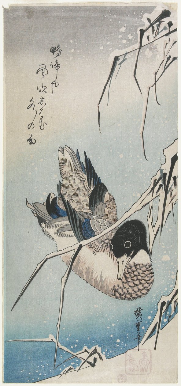 (Kaczka i Snowy Reeds), początek lat 30. XIX wieku autorstwa Utagawa Hiroshige