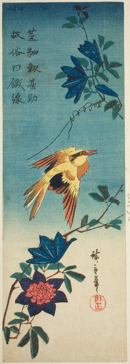 (Faksymile?) Wilga czarnowłosa i powojnik autorstwa Utagawa Hiroshige