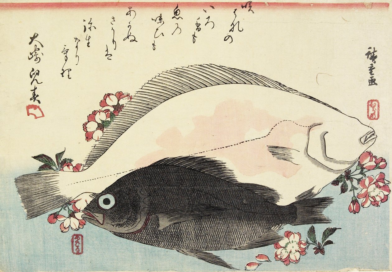 (Fluke i Black Bass, Kwiaty Wiśni) autorstwa Utagawa Hiroshige