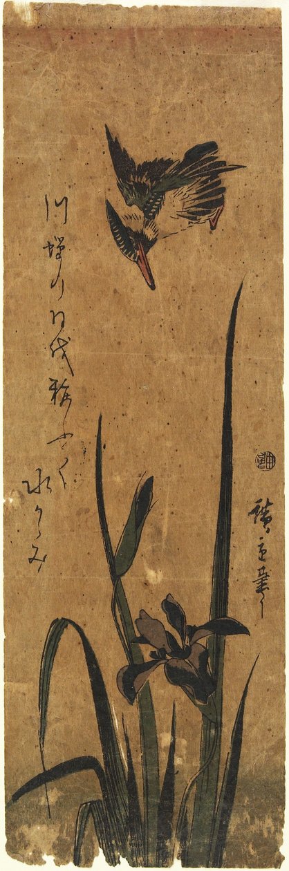 (Irys i zimorodek), 1830-1858 autorstwa Utagawa Hiroshige