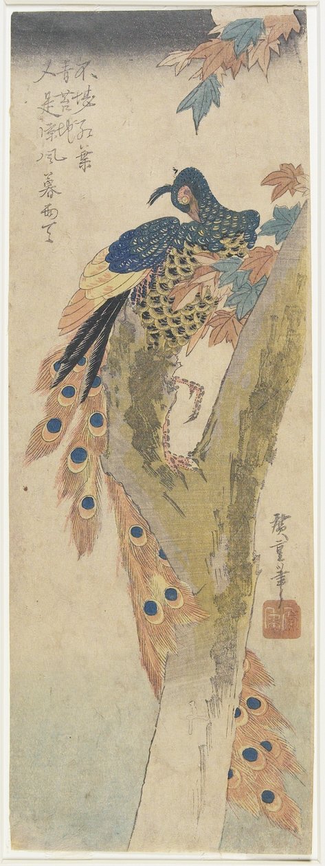 (Paw na klonie), początek XIX wieku autorstwa Utagawa Hiroshige
