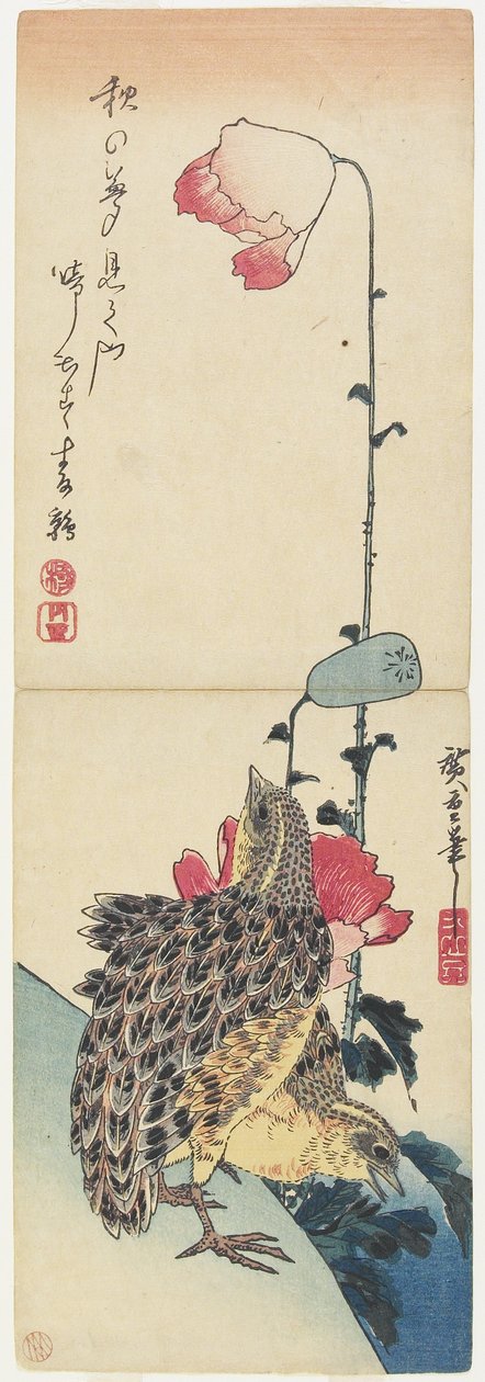 (Przepiórka i Maki), 1830-1858 autorstwa Utagawa Hiroshige