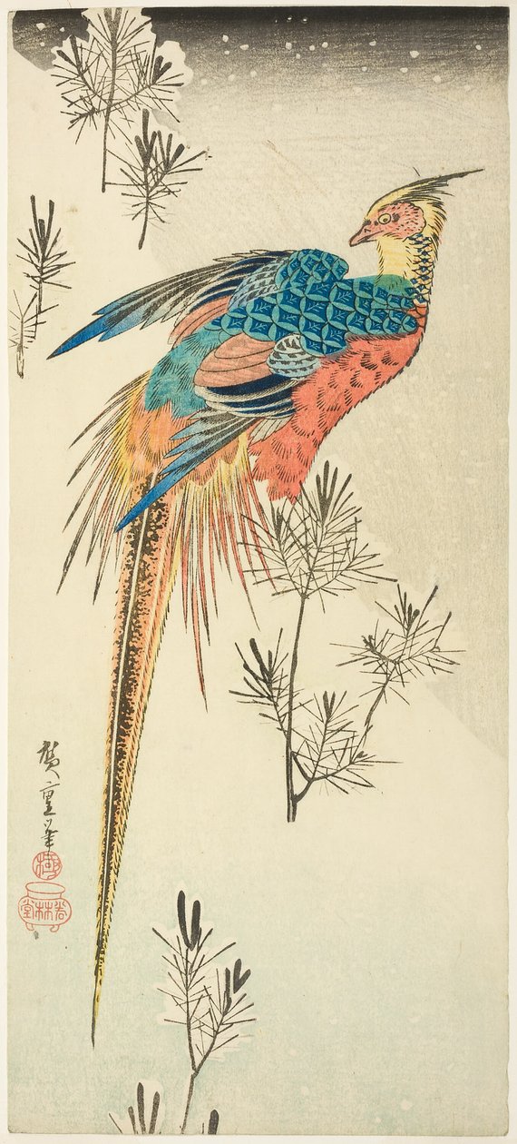 Bażant złocisty siedzący na stromym, śnieżnym zboczu wśród małych drzewek sosnowych autorstwa Utagawa Hiroshige