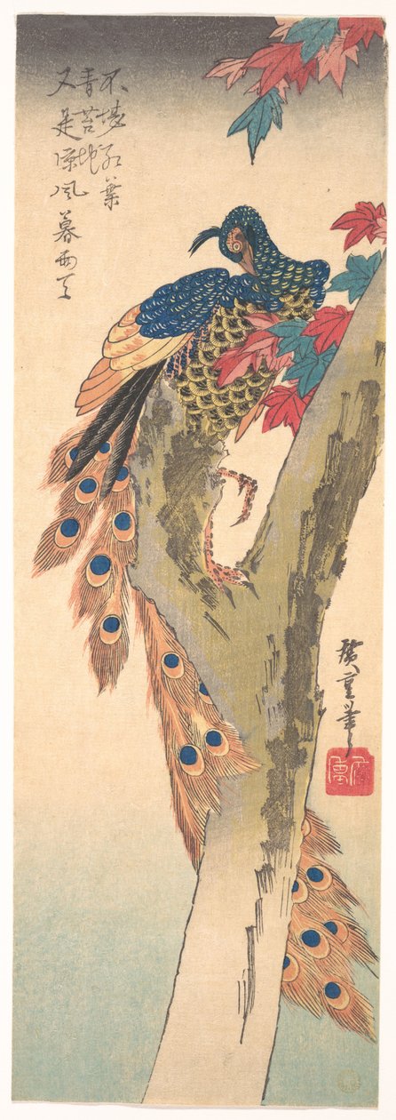 Paw siedzący na klonie autorstwa Utagawa Hiroshige