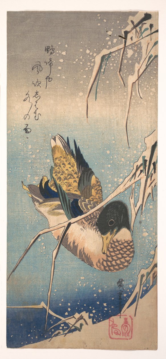 Dziką kaczka w pobliżu zaśnieżonego brzegu autorstwa Utagawa Hiroshige