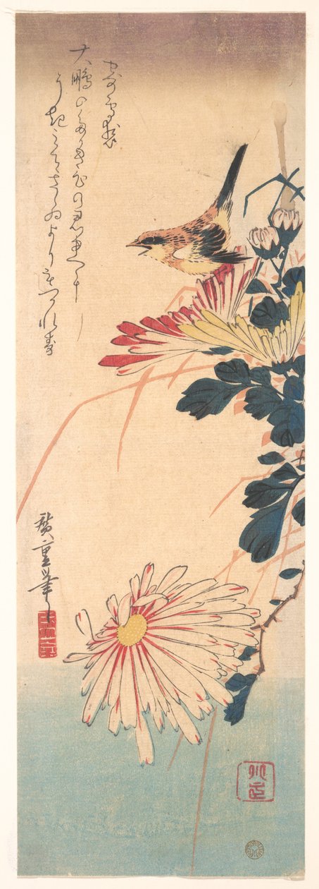 Ein Zaunkönig und Chrysanthemen autorstwa Utagawa Hiroshige
