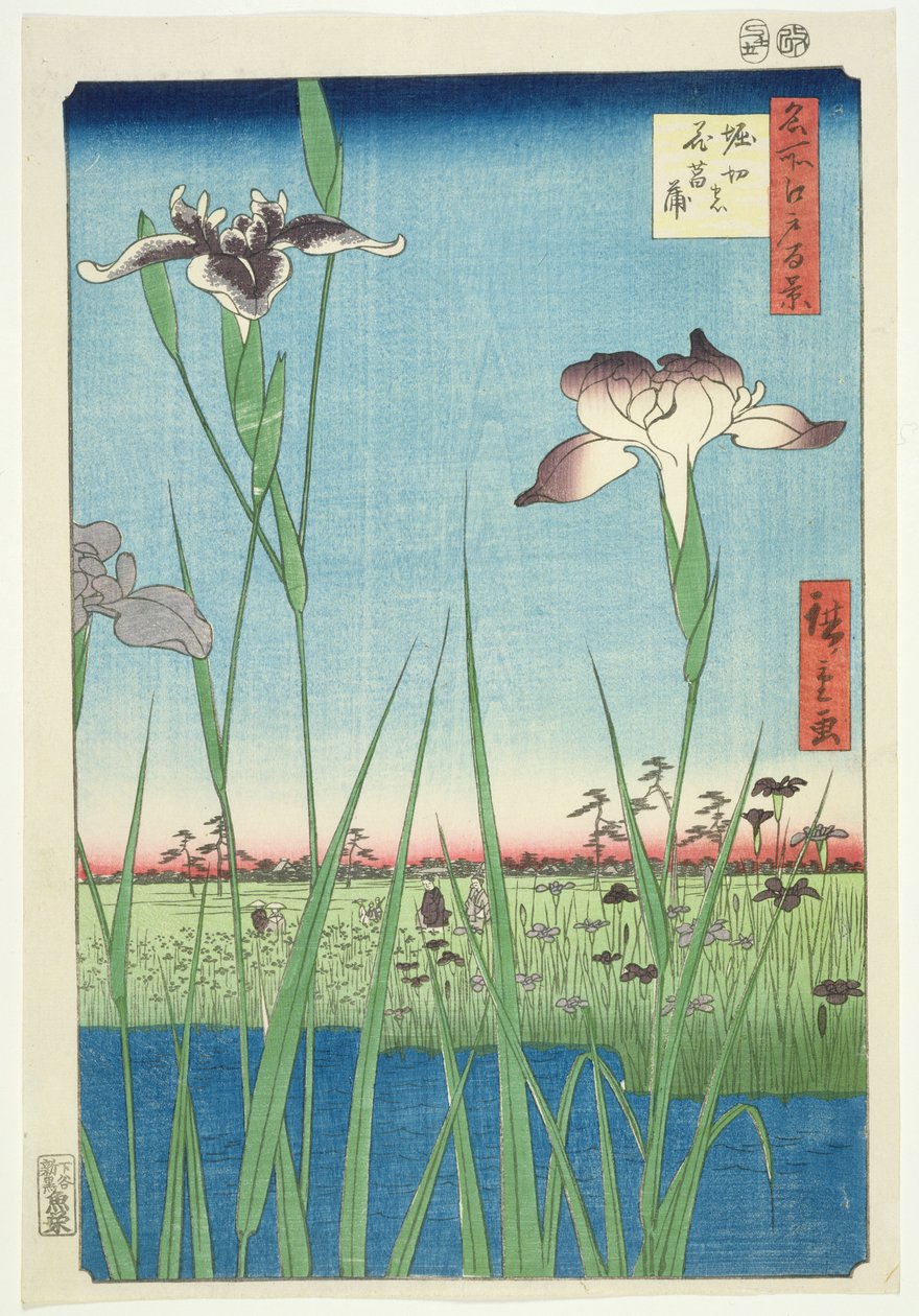 BM.Cat.440 Irysy w Horikin, nr 56 z serii „100 widoków Edo”, („Meisho Edo hyakkei”), wyd. 1857, (kolorowy drzeworyt) autorstwa Utagawa Hiroshige