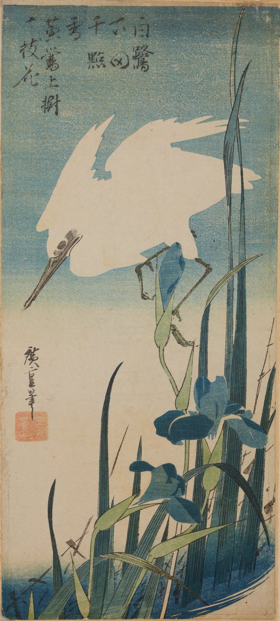 Biała lecąca czapla i niebieskie irysy / Shobu to shirasagi autorstwa Utagawa Hiroshige
