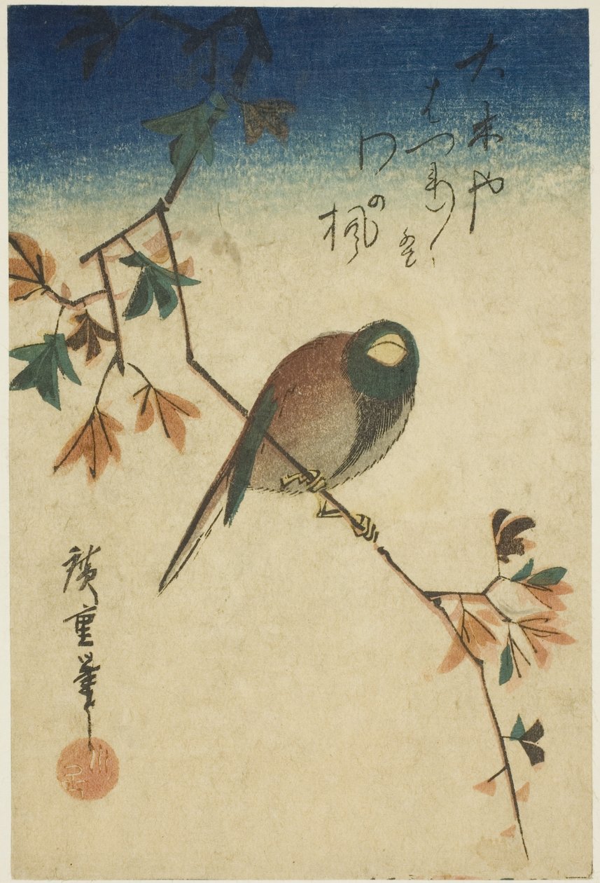 Ptak na gałęzi klonu autorstwa Utagawa Hiroshige