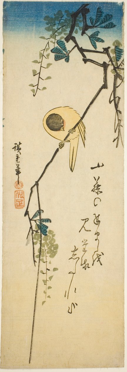 Ptak na jedwabistej wisterii autorstwa Utagawa Hiroshige