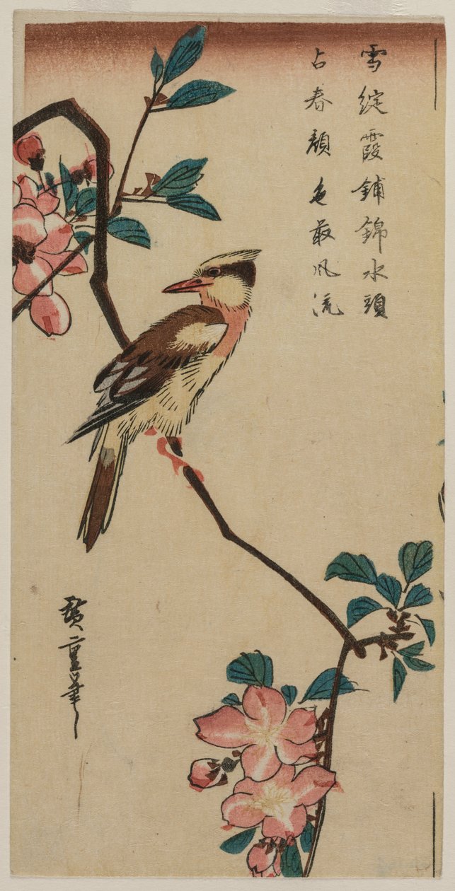 Wilga czarnonapedowa (pokrzewka koreańska) na jabłoni Hall autorstwa Utagawa Hiroshige