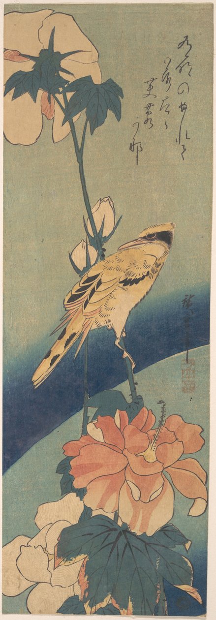 Schwarzrückenpirol auf einem Hibiskusstängel autorstwa Utagawa Hiroshige