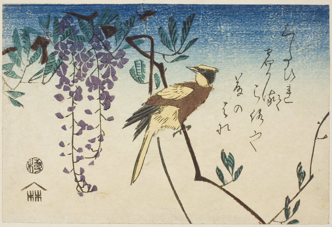 Wilga czarnowłosa i glicynia autorstwa Utagawa Hiroshige