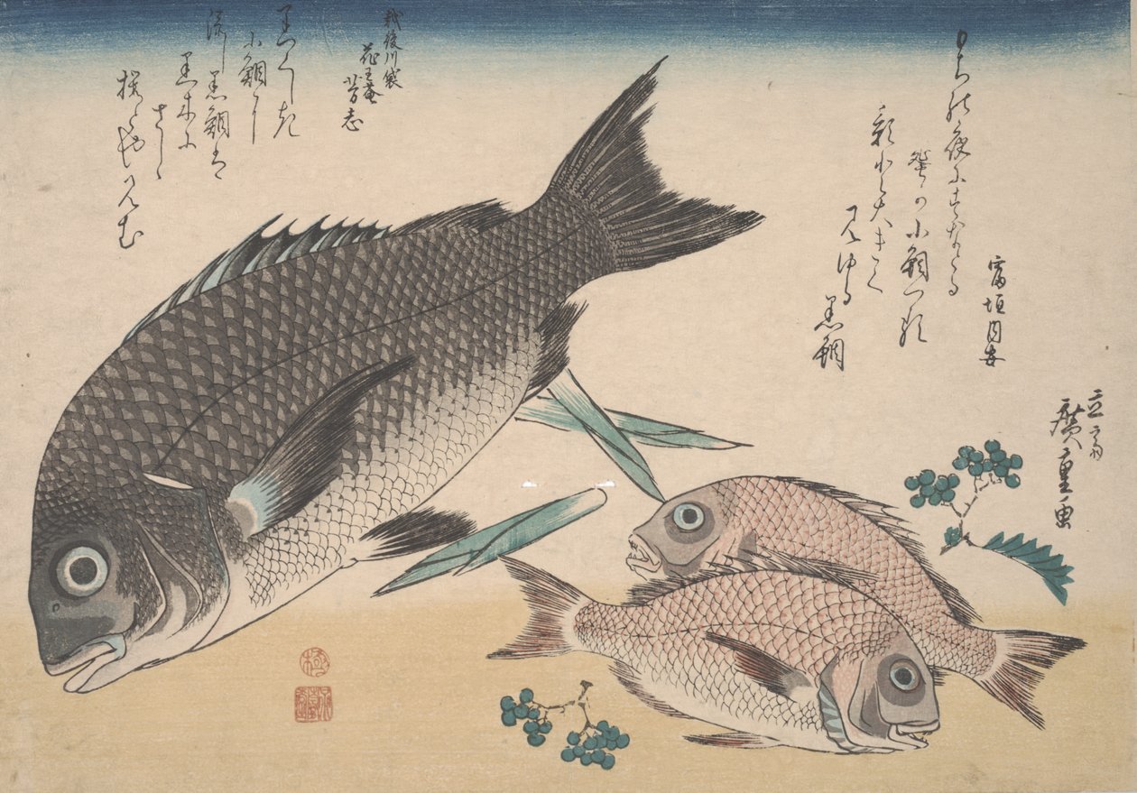 Czarny leszcz morski, mały leszcz morski, pędy szparagów i pieprz Sansho, ok. 1830 r. autorstwa Utagawa Hiroshige