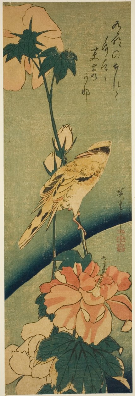 Czarna wilga na hibiskusie autorstwa Utagawa Hiroshige