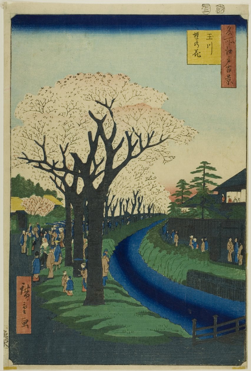 Kwiaty na nabrzeżu rzeki Tama (Tamagawa-zutsumi no hana), z serii "Sto słynnych widoków Edo (Meisho Edo hyakkei)". autorstwa Utagawa Hiroshige