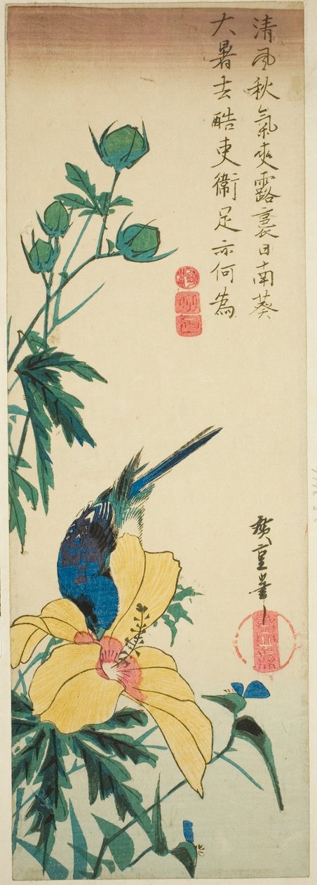 Niebieski ptak i hibiskus autorstwa Utagawa Hiroshige
