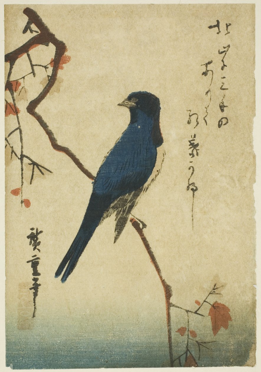 Niebieski ptak na gałęzi klonu autorstwa Utagawa Hiroshige