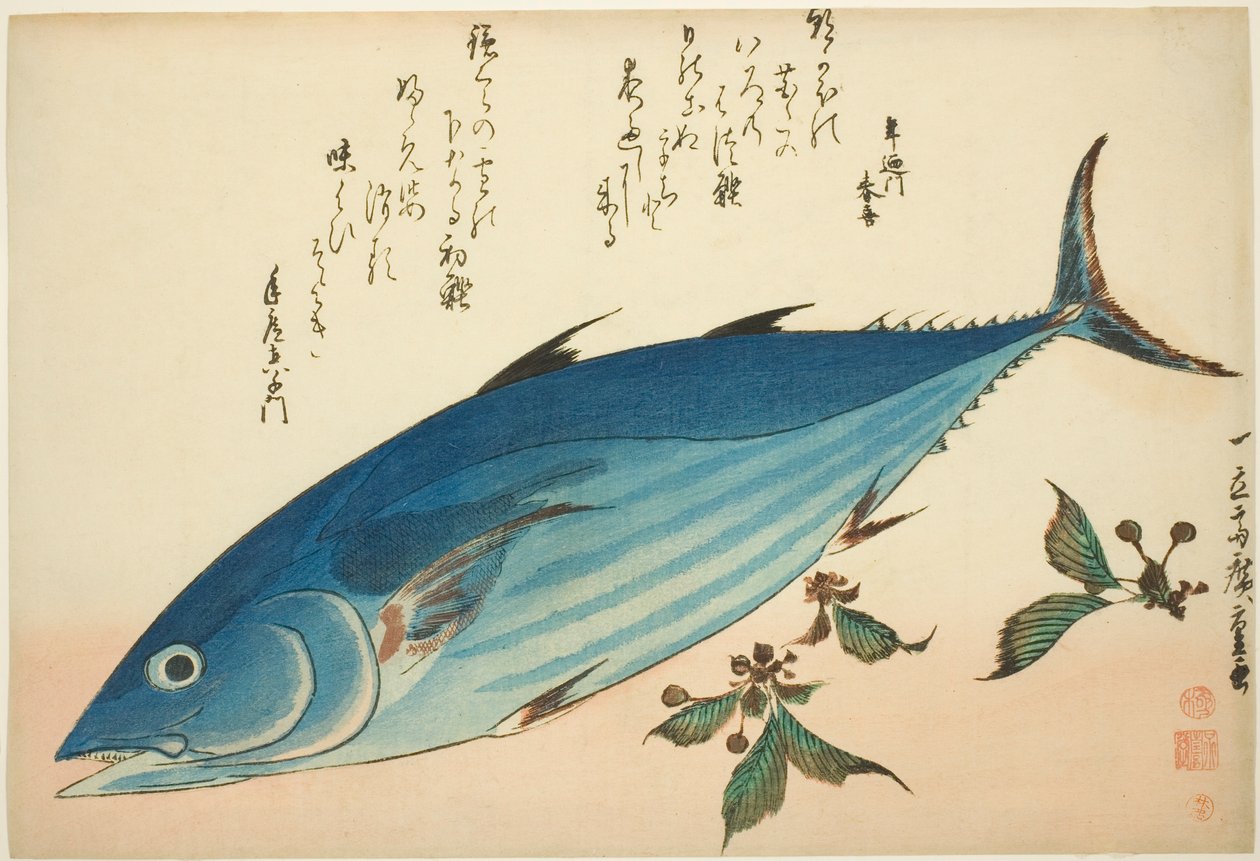 Bonito i skalnica, z serii ryb bez tytułu autorstwa Utagawa Hiroshige