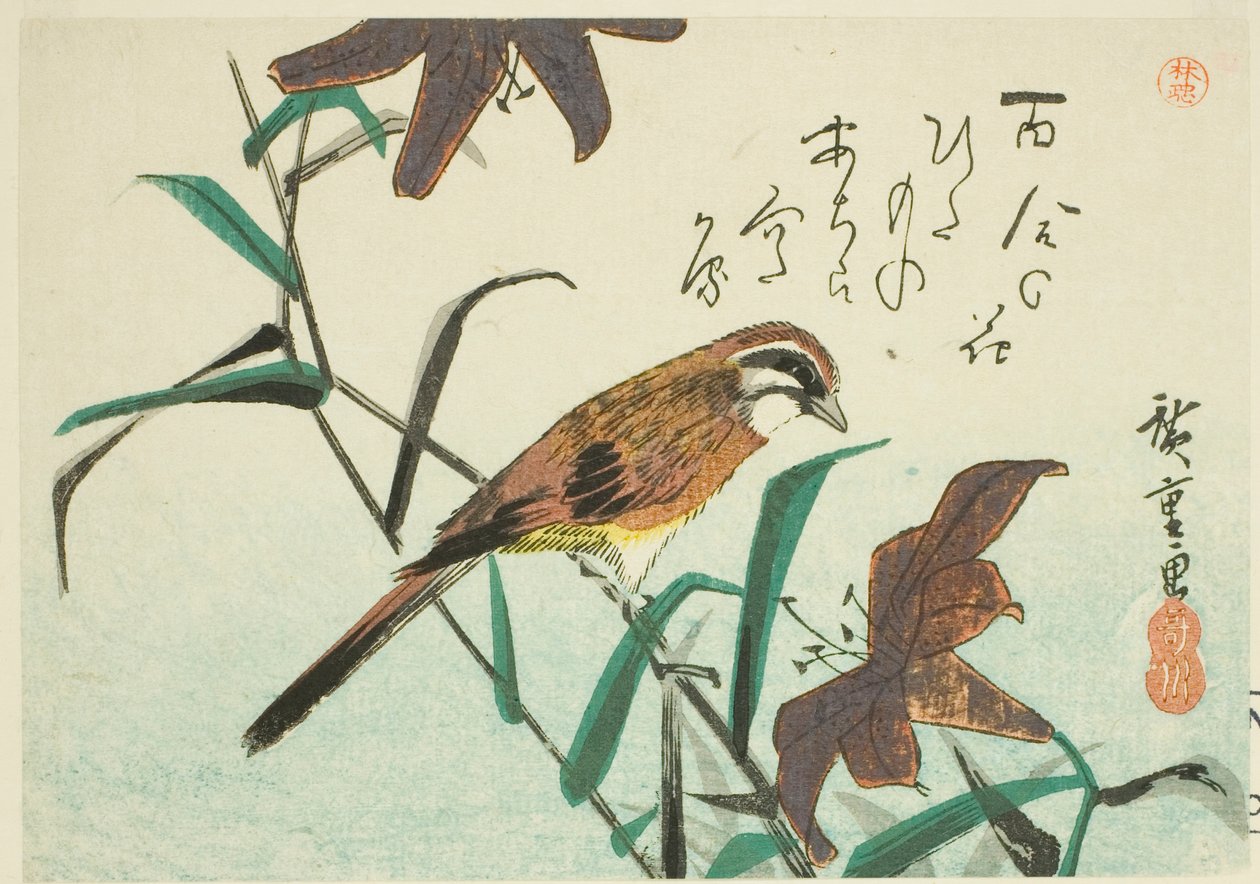 Trznadel i lilie autorstwa Utagawa Hiroshige