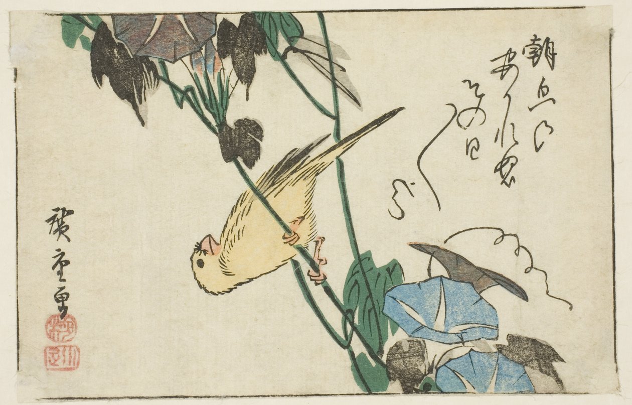 Kanaryjskie i poranne chwały autorstwa Utagawa Hiroshige