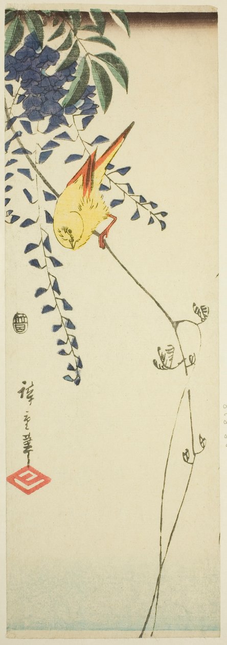 Kanaryjskie i wisteria autorstwa Utagawa Hiroshige