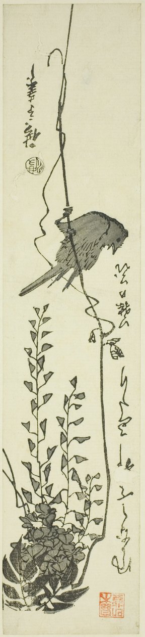 Kanaryjskie i wisteria autorstwa Utagawa Hiroshige