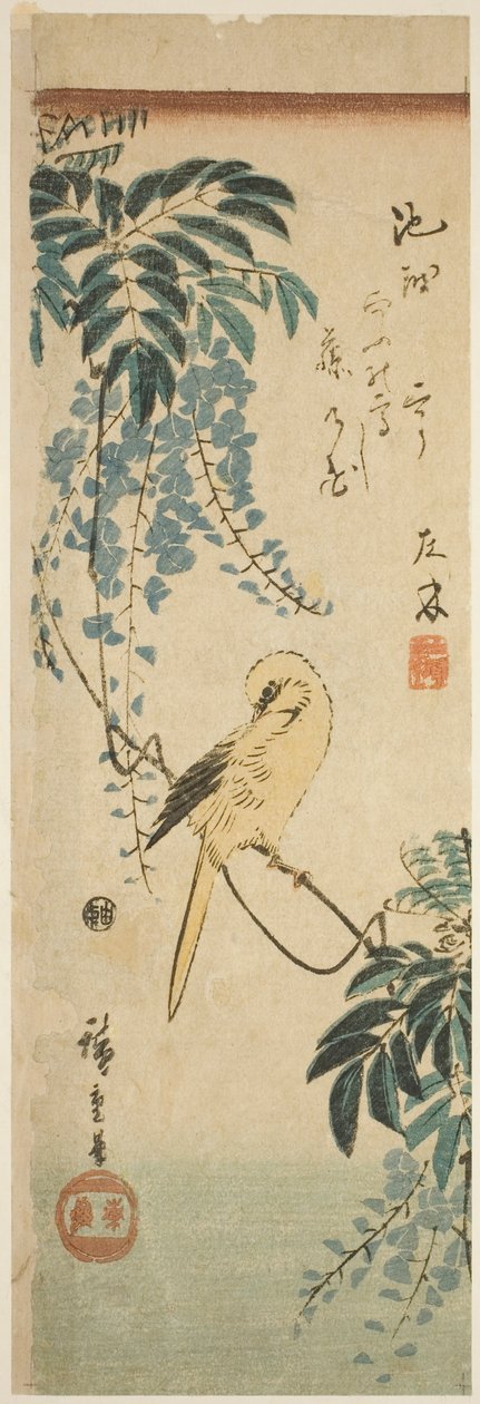 Kanaryjskie i wisteria autorstwa Utagawa Hiroshige