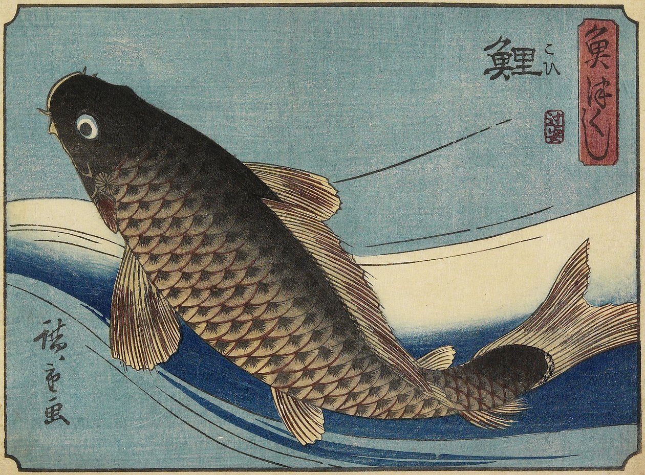 Karp, 1830-1844 autorstwa Utagawa Hiroshige