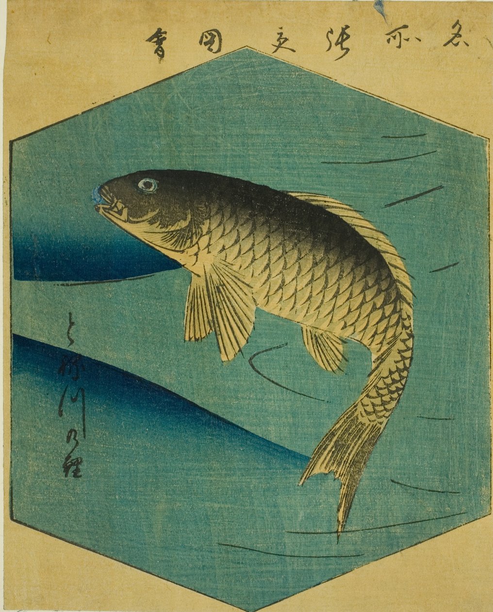 Karp w rzece Tone (Tonegawa no koi), fragment arkusza z serii „Wycinane obrazy znanych miejsc w Edo (Edo meisho harimaze zue)” autorstwa Utagawa Hiroshige