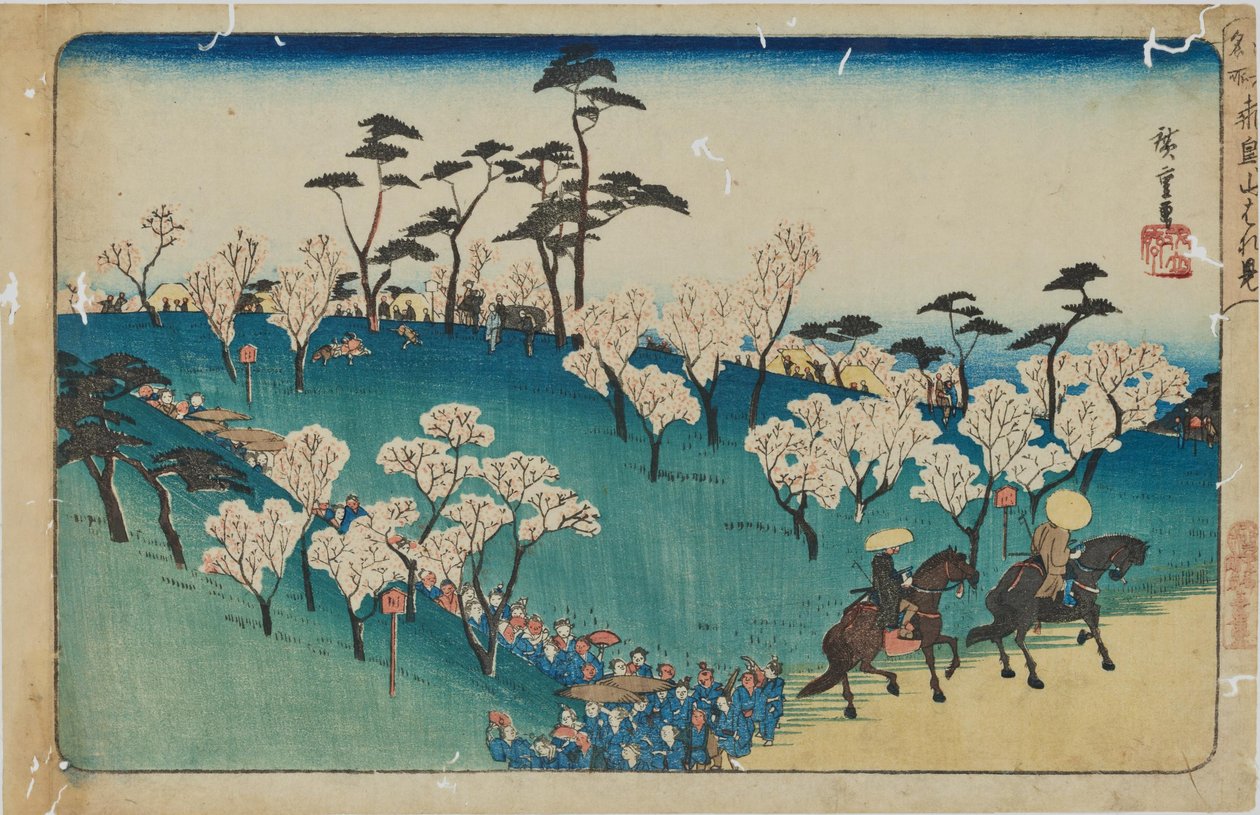 „Podziwianie kwitnących wiśni na wzgórzu Asuka” z serii „Słynne miejsca Edo” autorstwa Utagawa Hiroshige